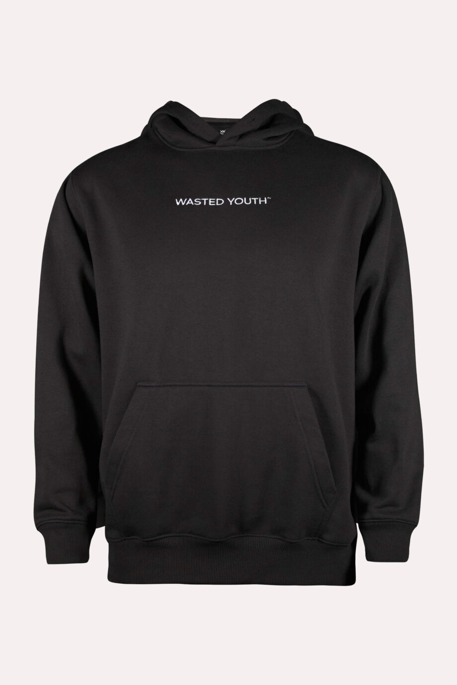 Wasted Youth Sweatshirt  "Gray"